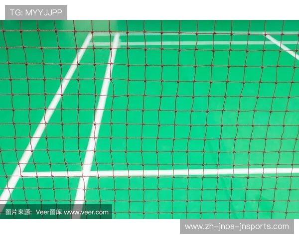 羽毛球球网材料
